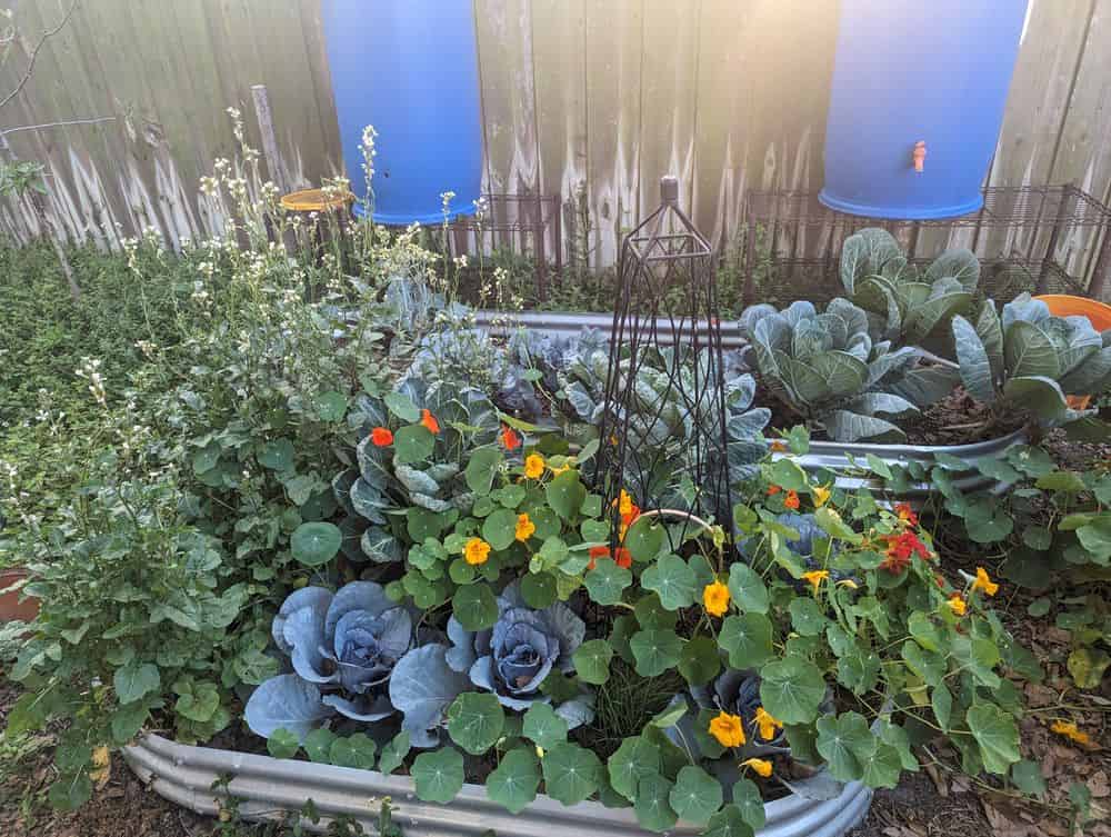 Permaculture Design image