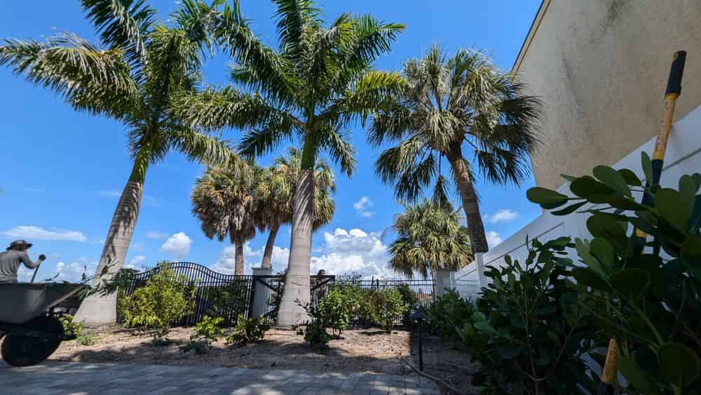 Florida Native Landscape Design image