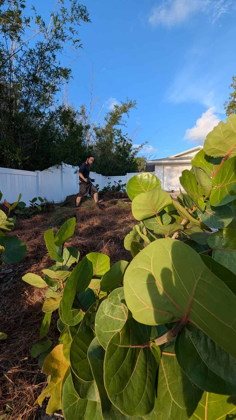 Garden Maintenance image