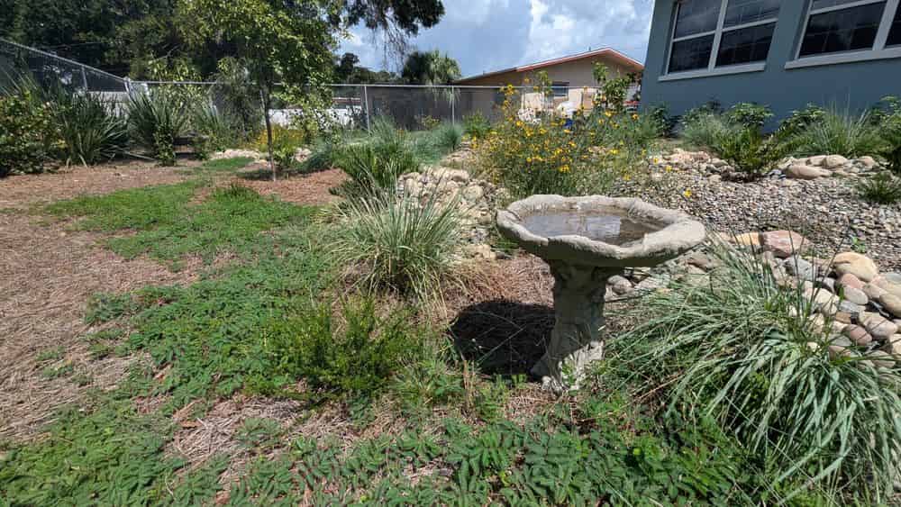 Irrigation image