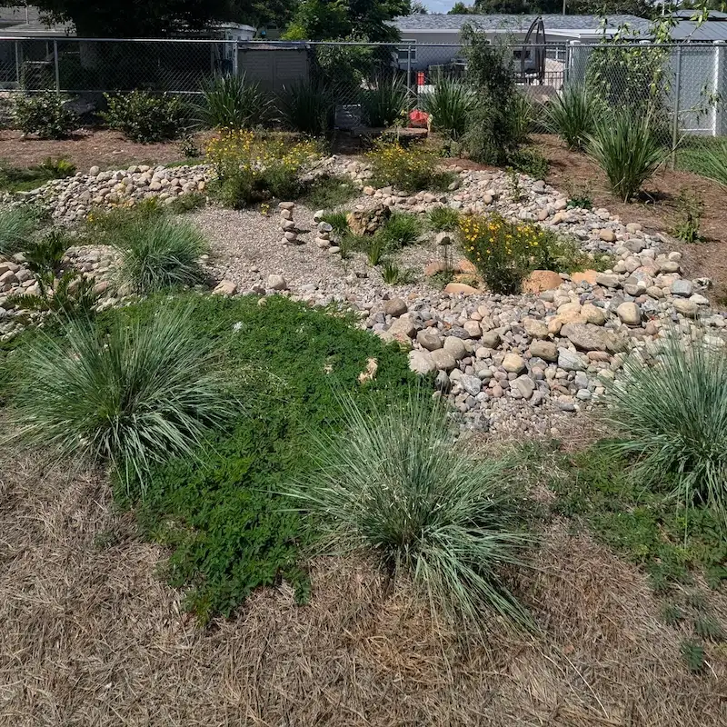 Rain garden installation — Largo, FL Rain garden with native grasses and dry river bed installed by Living Spaces Gardening in Largo FL