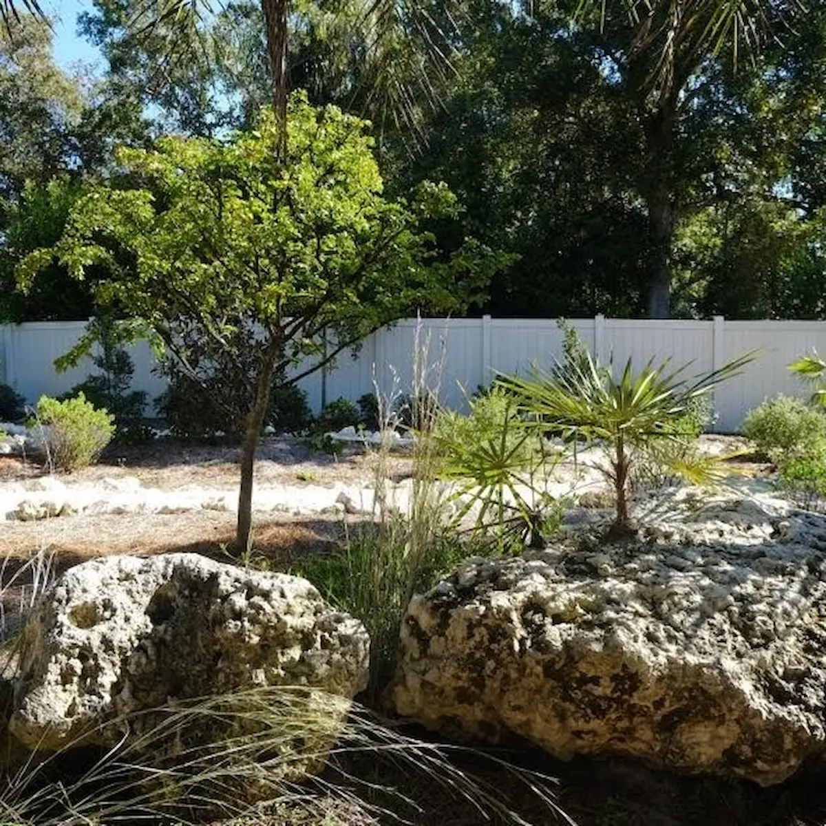 Oolite boulder landscape — Tarpon Springs, FL Oolite limestone boulders with native plantings installed by Living Spaces Gardening in Tarpon Springs FL