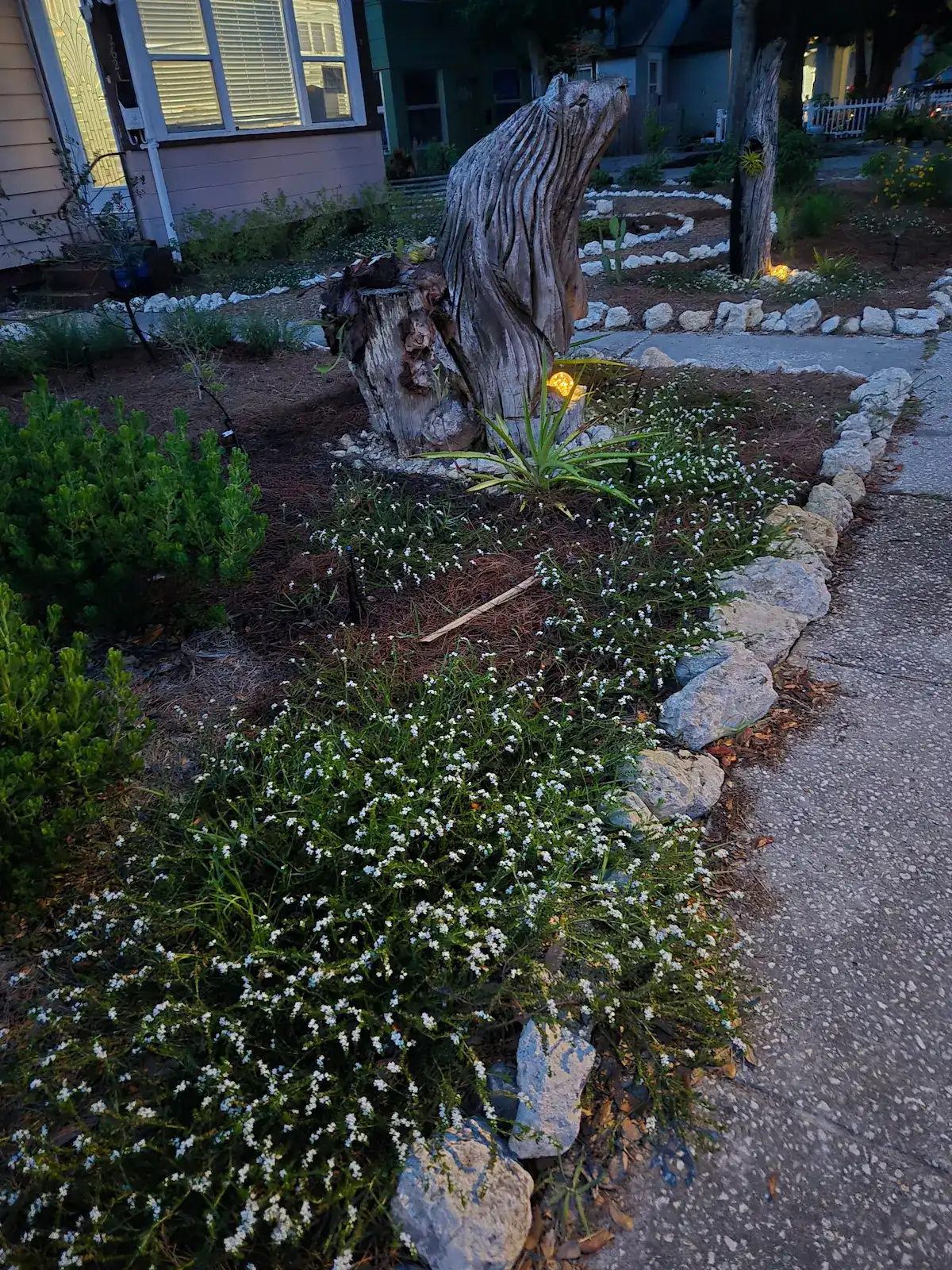 Irrigation design by Living Spaces Gardening Irrigation system for native plants in Tampa Bay