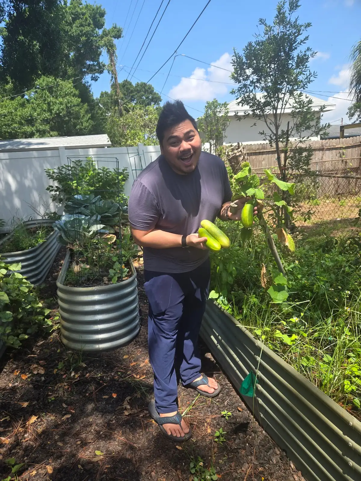 Permaculture design by Living Spaces Gardening Permaculture food forest design in Tampa Bay